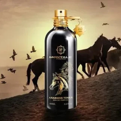 Montale Arabians Tonka