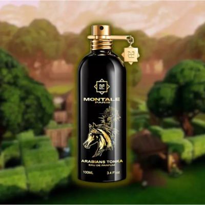 Montale Arabians Tonka 